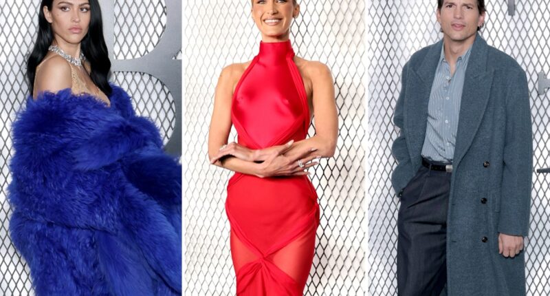 Bella Hadid, Ashton Kutcher and more