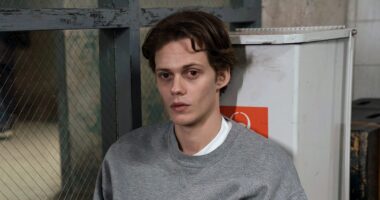 Best Stephen King Movies and Shows on Netflix Right Now