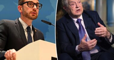 Billionaire scion Alex Soros slums it in business class after Davos