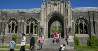 Biologist Sues Cornell Claiming Racial Discrimination – HotAir