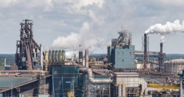 Bitcoin’s weakness is saying there will be a handoff to old-economy stocks, these market veterans say