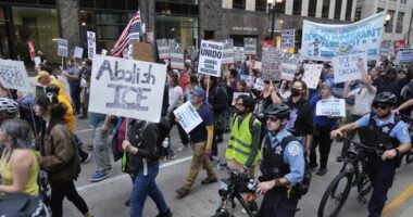 Blacks and Hispanics Want No Part of Your Anti-ICE Protests – RedState