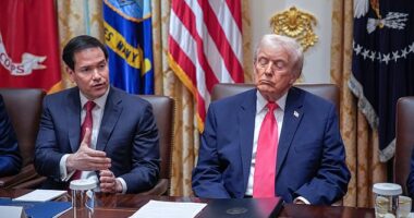Donald Trump admits he's running on little sleep and defying doctor's recommendations to lower his daily dosage of aspirin. Pictured: The president shuts his eyes as Secretary of State Marco Rubio speaks during a cabinet meeting at the White House on December 2, 2025