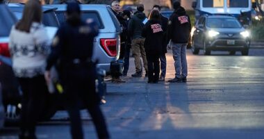 Law enforcement officials work the scene following reports that federal immigration officers shot and wounded people in Portland