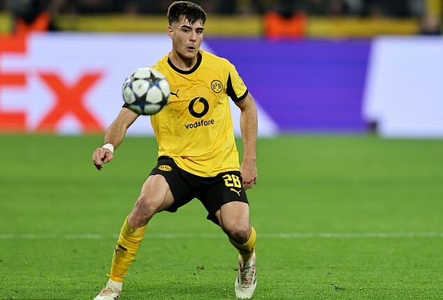 Borussia Dortmund are fuming with Chelsea's decision to recall loanee Aaron Anselmino