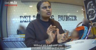 Komal Shinde told a reporter posing as an Indian student hoping to stay in the UK when his study visa expired that she could arrange him a skilled worker visa for both real and non-existent positions ¿ for a price