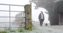 A woman walking her dog in Berkshire on New Year's Eve. Chilly conditions are expected to continue throughout this week