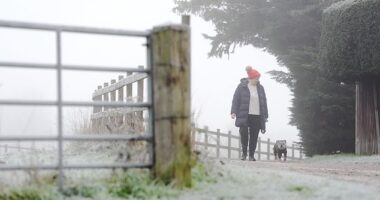 A woman walking her dog in Berkshire on New Year's Eve. Chilly conditions are expected to continue throughout this week