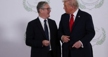 Britain to snub Trump’s signing ceremony for Gaza Board of Peace over Putin involvement