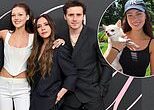 Brooklyn Beckham and Nicola Peltz raised $59,000 for displaced dogs during LA fires after 'mum Victoria declined to contribute'