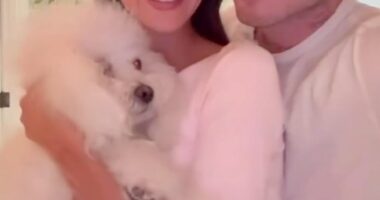 Brooklyn Beckham's devotion to his wife Nicola Peltz was clear for all to see as he posted a loved-up video on TikTok on Monday
