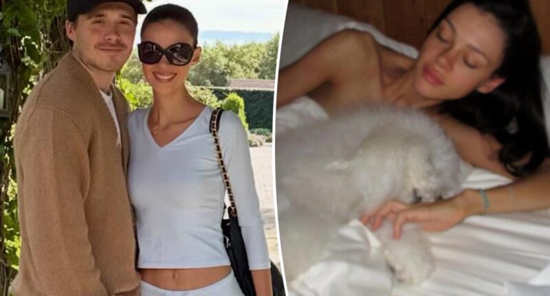 Brooklyn Beckham shares racy snap of wife Nicola Peltz as family feud rages on