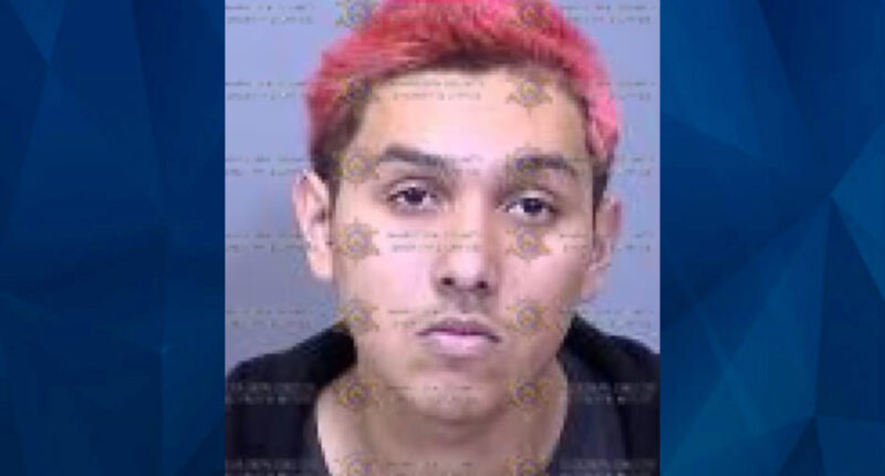 Burglar Kills Homeowner, Lives in His Home