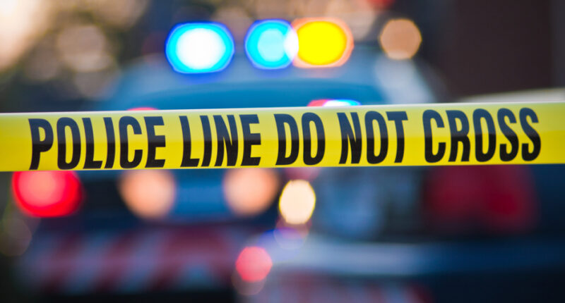 California Man Charged With Murder of Elderly Parents