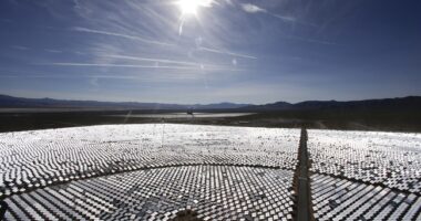 California to Keep Bird Broiling Solar Plant in Operation – HotAir