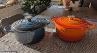 Can a £20 casserole dish from Aldi really match Le Creuset's iconic £300 luxury pot? We reveal the results in our head to head review