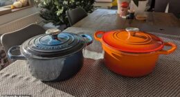 Can a £20 casserole dish from Aldi really match Le Creuset's iconic £300 luxury pot? We reveal the results in our head to head review