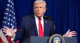 Amid President Trump's constant tariffs on Canadian imports, many Canadian snowbirds have chosen to sell their properties in the US