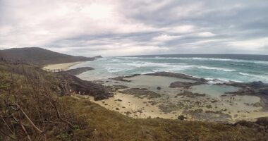 A Canadian woman has been found dead surrounded by dingoes on K'gari