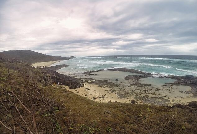 A Canadian woman has been found dead surrounded by dingoes on K'gari