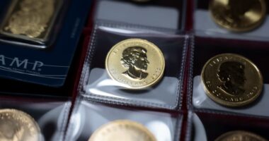 Central banks have actually slowed their purchases of gold, but investors have more than made up the difference