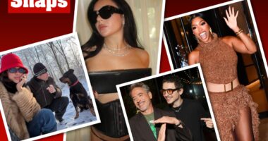 Charli xcx, Timothée Chalamet, Dua Lipa and more