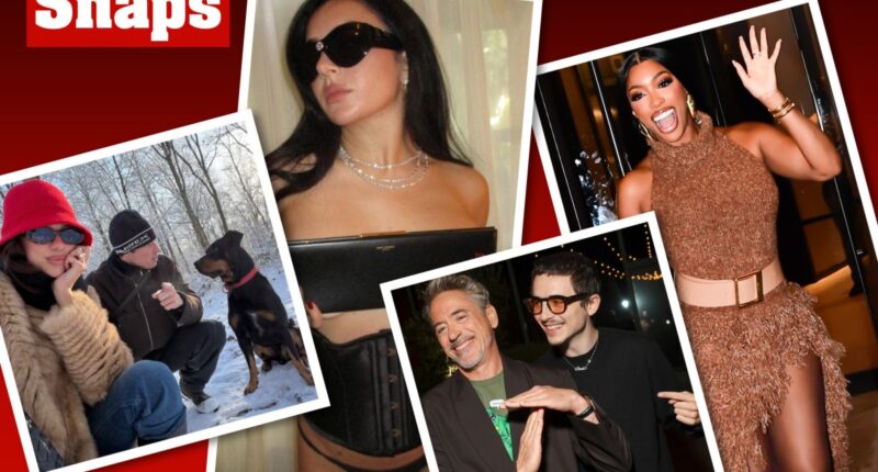 Charli xcx, Timothée Chalamet, Dua Lipa and more