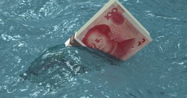 China’s green-energy revolution is losing $60 billion a year. Why are investors still throwing money at it?
