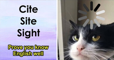 Choose The Right Word Without Getting Dizzy: 36 Commonly Confused Word Pairs