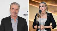 Chris Noth’s Bold Comment After Sarah Jessica Parker Was Honored For Her Acting Goes Viral