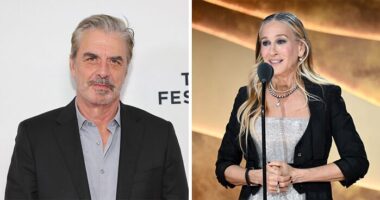 Chris Noth’s Bold Comment After Sarah Jessica Parker Was Honored For Her Acting Goes Viral