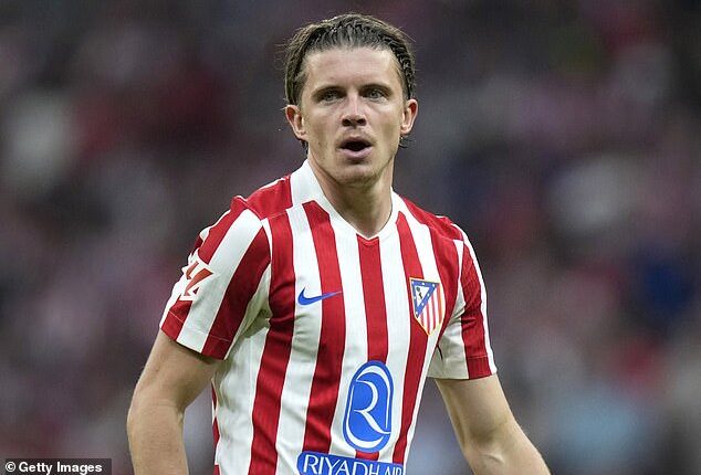 Conor Gallagher is a dependable signing for Tottenham but will not bring much flair