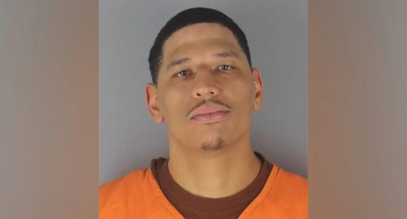 Convicted Criminals, Including Carjacker Who Beat Pregnant Woman, Found Among Arrested Anti-ICE Activists.