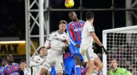 Crystal Palace and Fulham played out a battling 1-1 draw at Selhurst Park on New Year's Day