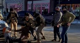 Video shows Alex Pretti, 37,  already pepper sprayed and on his knees when the clip begins