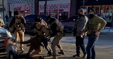 Video shows Alex Pretti, 37,  already pepper sprayed and on his knees when the clip begins