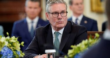 Keir Starmer is the ultimate cheerleader for a legal system that privileges the feelings of protected minorities over any normal understanding of free expression, writes Daniel Hannan