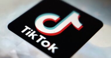 Deal for TikTok to Operate in U.S. Officially Closes, Desperate Dems of Course Call for an Investigation – RedState