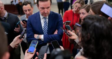 Democrats warm to making ICE funding a line in the sand: ‘Operating outside the law’