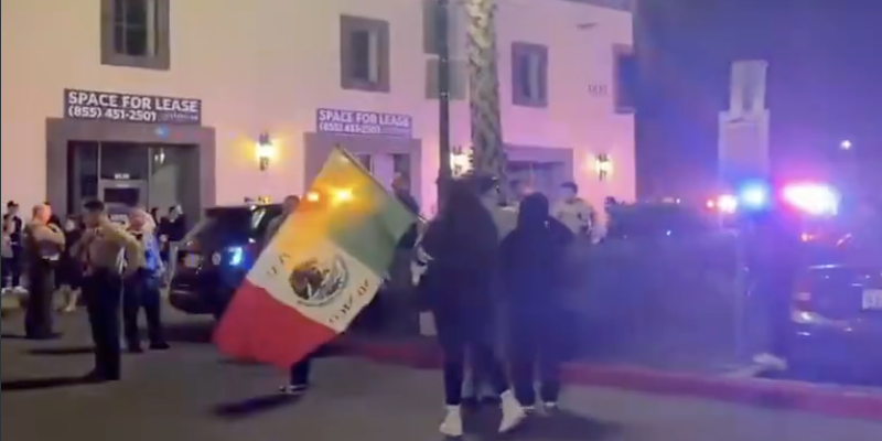 Dems Mistake TSA for ICE, Protest Their Dinner.