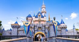Disneyland has sparked fierce outrage as it quietly eliminated a slew of fan-favorite treats from the theme park, which some believe was a way to cut down on costs (stock image)