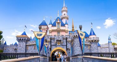 Disneyland has sparked fierce outrage as it quietly eliminated a slew of fan-favorite treats from the theme park, which some believe was a way to cut down on costs (stock image)