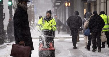 An intense arctic blast will send highs plummeting to -2F in Chicago on Friday with a frigid low of -6F on Thursday night (stock)