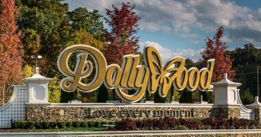 Dolly Parton's iconic theme park Dollywood has come under fierce fire after it implemented a new system that times and tracks its fountain drinks (stock image)