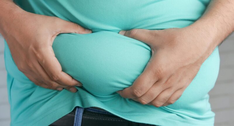 Eli Lilly Invests $3.5 Billion in America for Advanced Obesity Drugs Plant.