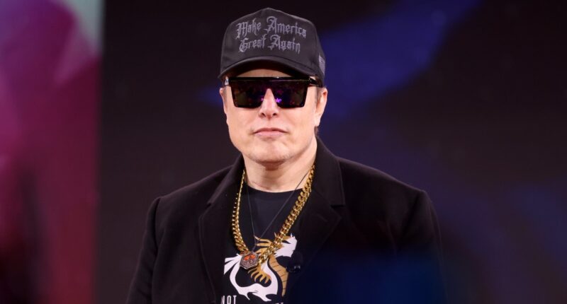 Elon Musk Custody Fight Underscores Problems Of Situationships