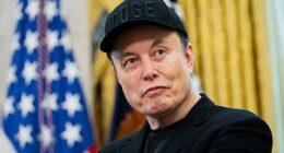 Elon Musk spoke with Jeffrey Epstein multiple times about visiting his private island. 'What day/night will be the wildest party on =our island' Musk asked Epstein in 2012