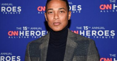 Ex-CNN star Don Lemon arrested on federal charge for Minnesota church protest