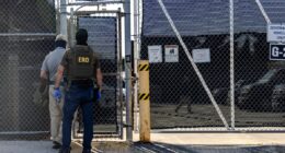 Ex-ICE officer pleads guilty to sexually abusing immigrant in custody