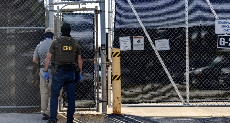 Ex-ICE officer pleads guilty to sexually abusing immigrant in custody